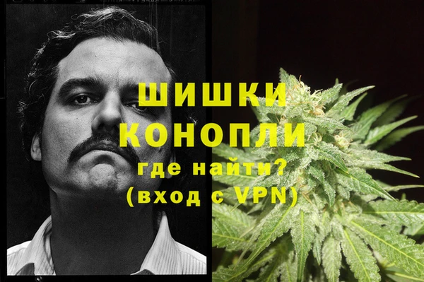 индика Нефтегорск