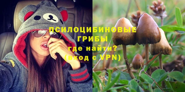 индика Нефтегорск