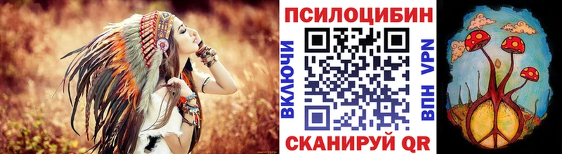 мега зеркало Нефтегорск Галлюциногенные грибы Psilocybe